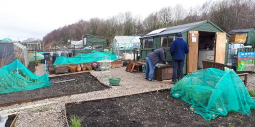 A view of the allotment site at Dinting, Glossop.