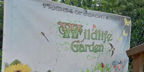 Wildlife Garden