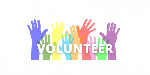 Volunteer