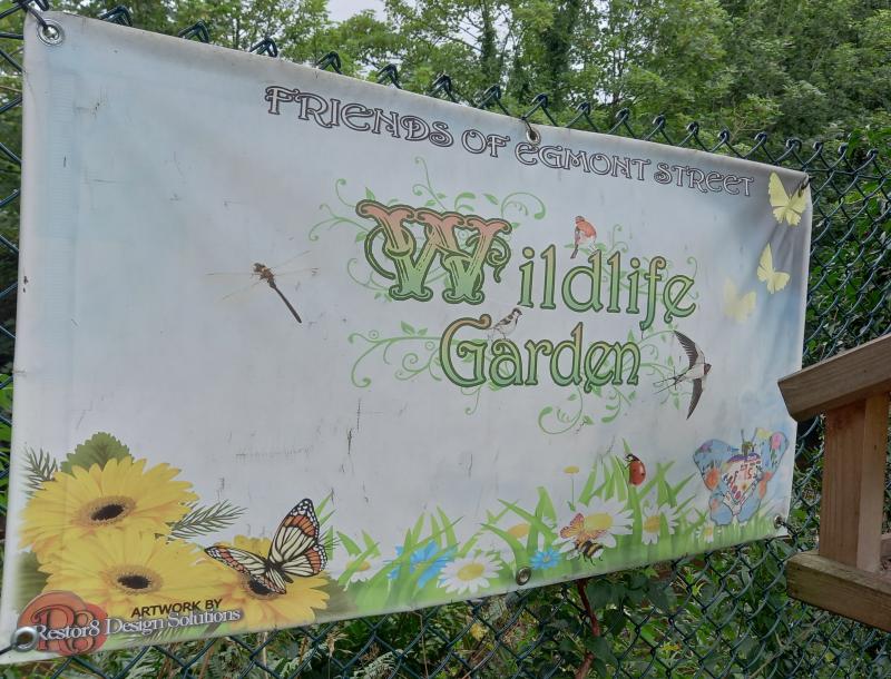 Wildlife Garden